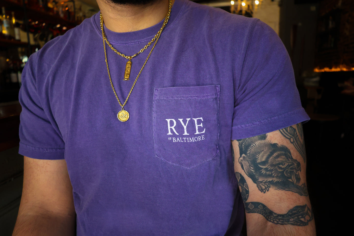 Vote Against Prohibition Pocket T-shirt | Purple